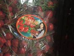 -西郊国际农产品交易中心