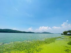 -水上明月·湖景餐厅