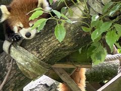 -宁波野生动物园