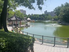 -莲湖公园