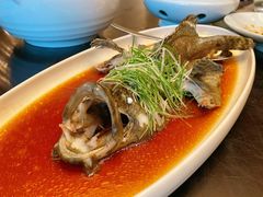 清蒸鲜露石斑鱼-英冠索菲特酒店·萧湘阁中餐厅