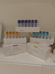 -安那般那皮肤年轻化ANAPANA