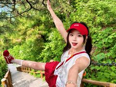 -王莽岭风景区
