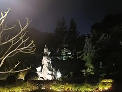 -金鸡山公园