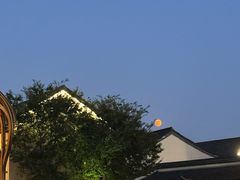 -天目山大树王景区