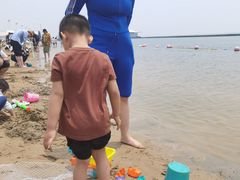 -碧海金沙