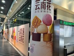 -丽江三义国际机场