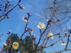 -天鹅湖体育公园