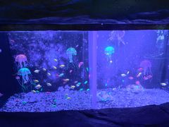 -常州海昌海洋探索馆