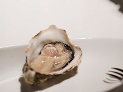 -Oyster Talks 四度蚝法餐厅