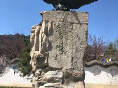 -北京鹫峰国家森林公园