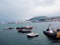 -涉地可支