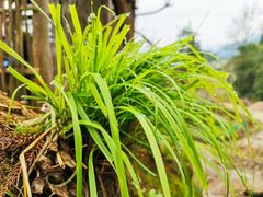 -峄山风景名胜区