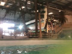 -南宫温泉水世界