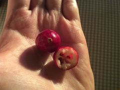 -BHG生活超市(安贞店)