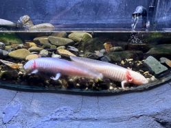 -Zoolung Zoolung动物主题公园(海信广场店)