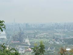 -杭州半山国家森林公园