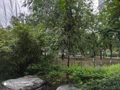 -庄怡公园