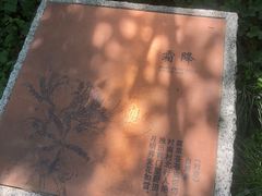 -杭州半山国家森林公园