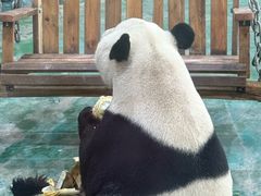 -五龙山野生动物王国