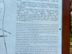 -东郊湿地公园