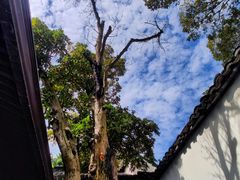 -上海醉白池公园