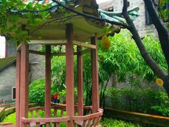 -东莞市可园博物馆