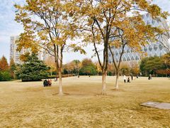 -杭州城北体育公园