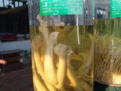 -北京鹿世界主题园