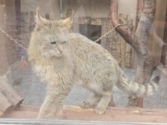 -青藏高原野生动物园