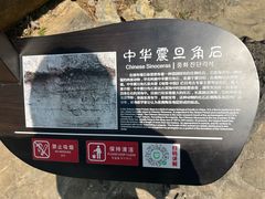 -梭布垭石林景区