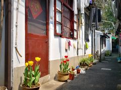 -家烧面馆【南山路知名经典面食】