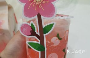 White Peach Sparkling Beer