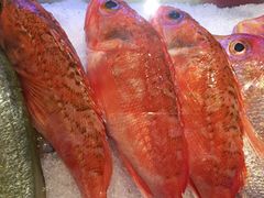 -月下料理(楷林IFC店)