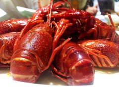 -龙虾风暴(松江店)