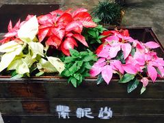 -广州市紫泥堂文化创意园景区