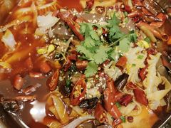 -丰收日·小海鲜·沪上家宴(顾村正大店)