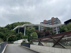 -金鸡山公园