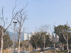 -牛岗山公园