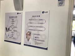 -宠颐生动物医院·猫科·心脏科(海口分院)