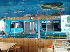 -蓝湾碧波·老字号·疍家非遗海上餐厅