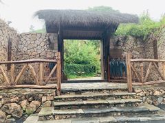 -看见远方·莫干遥远的山民宿