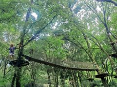 -WeLope紫金山探险公园