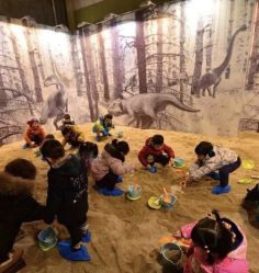 -恐龙探索乐园(磁器口店)