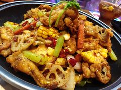 -靓蛙馆
