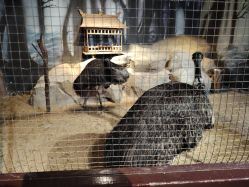 -酷嗒动物文化乐园(cutezoo西溪乐天城店)