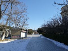 -旅顺博物馆