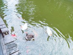 -上海千禧海鸥大酒店