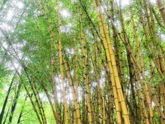 -晓港公园