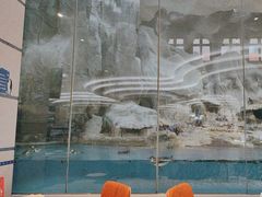 -帝企鹅自助餐厅•儿童岛•真企鹅(长隆企鹅酒店)